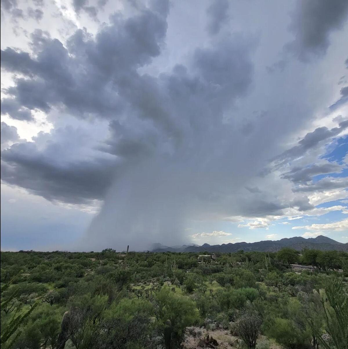 Luxury 3Bd 2Ba Home Near Tucson With Desert Views - Low Summer Rates! オロ・バレー エクステリア 写真