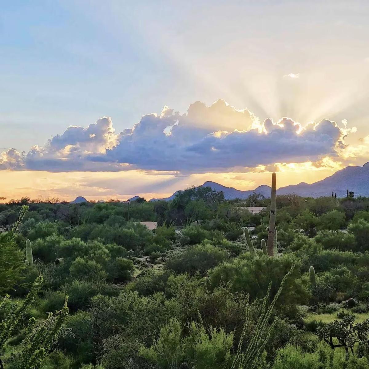 Luxury 3Bd 2Ba Home Near Tucson With Desert Views - Low Summer Rates! オロ・バレー エクステリア 写真