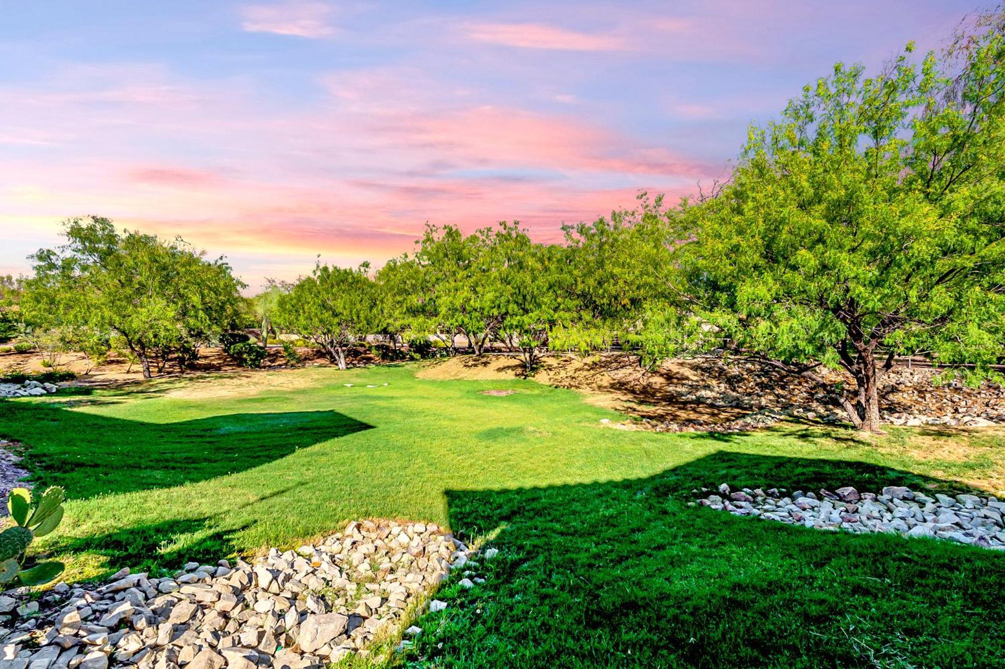 Luxury 3Bd 2Ba Home Near Tucson With Desert Views - Low Summer Rates! オロ・バレー エクステリア 写真